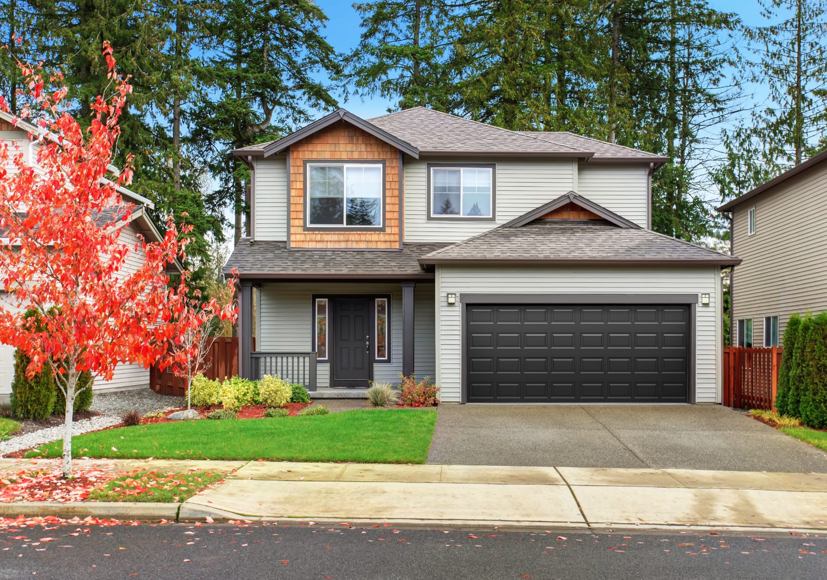 Classic Steel Garage Door Images